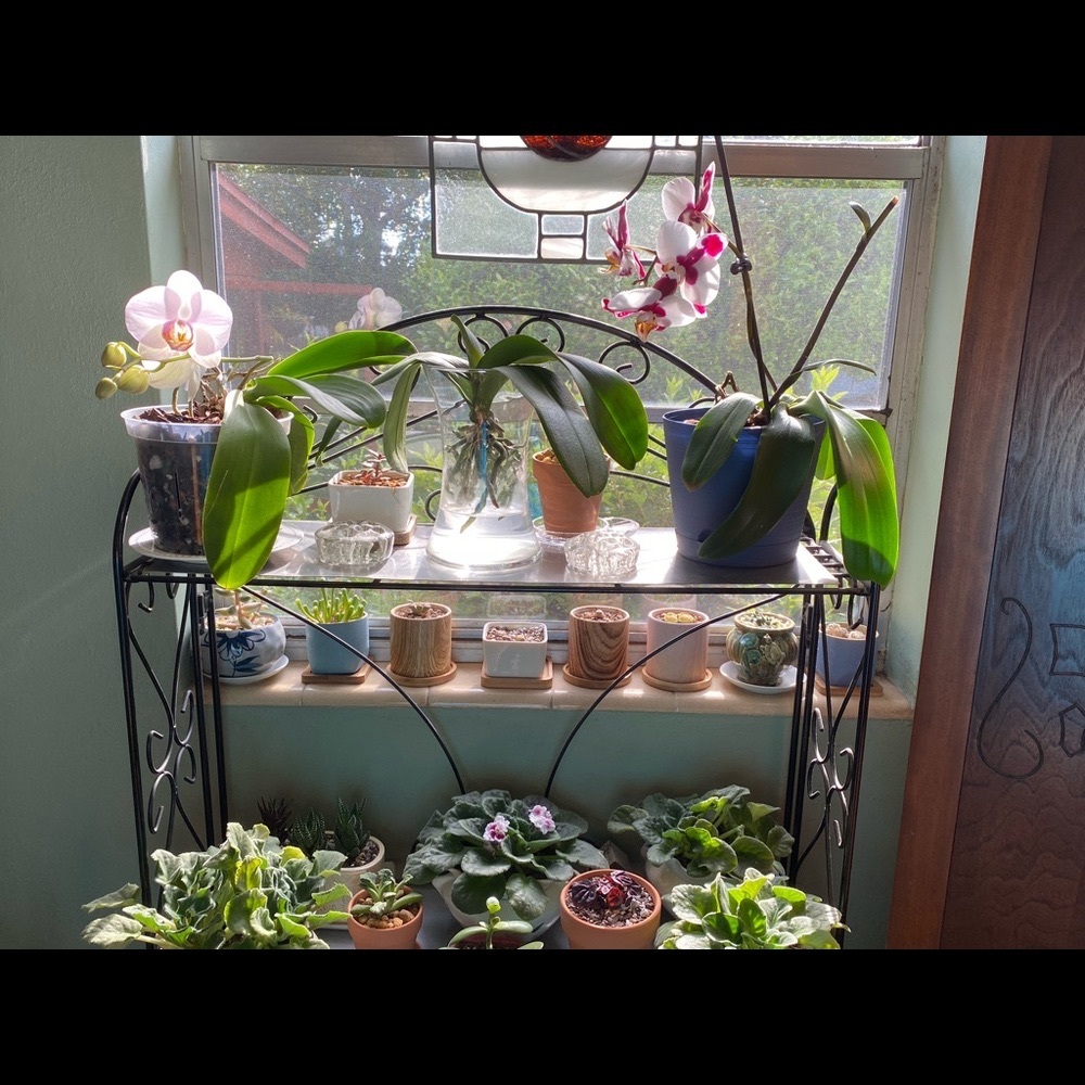 Meet your Posher, Beverly